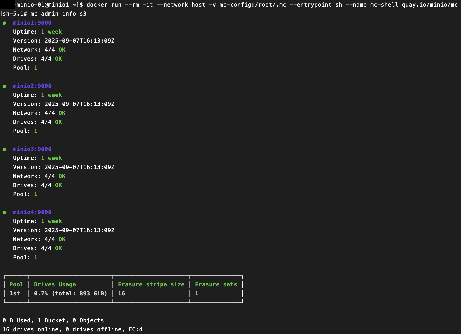 MinIO cluster status information shown in command line interface